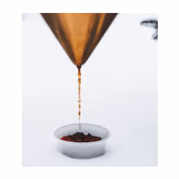 Neon 12 Coffees of Christmas, Torréfacteur Neon Coffee Roasters advent calendar