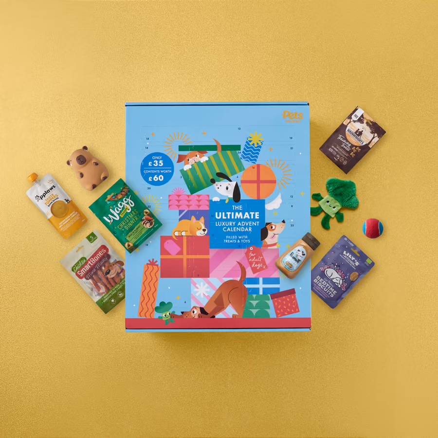 The box with the treats, chews and toys laid out around it